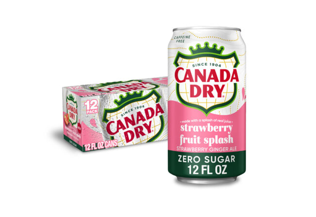 Canada Dry Strawberry Fruit Splash Ginger Ale Zero Sugar can and 12-pack